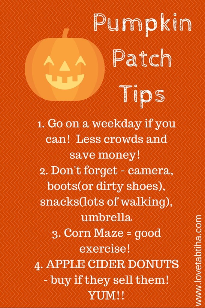 pumpkin patch tips