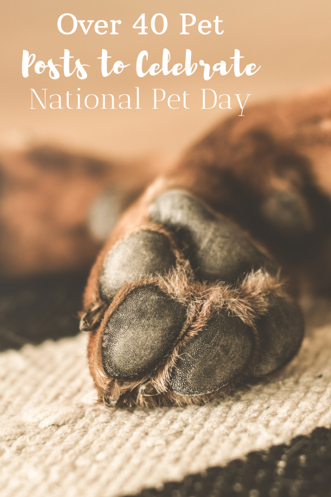 April 11 is National Pet Day, here's a post with over 40 different pet post from around the web. 
