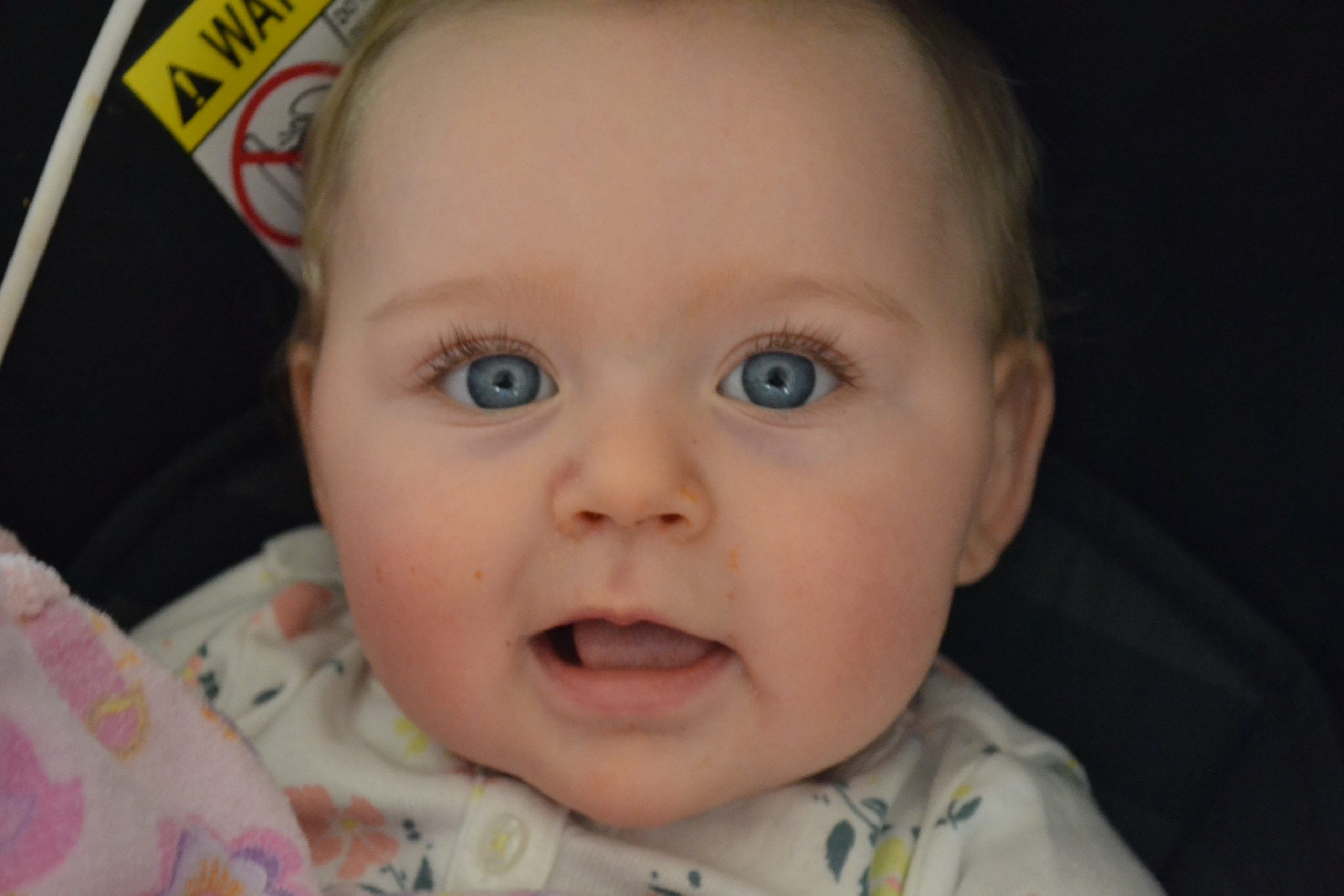 Baby's Eighth Month Update #Piper