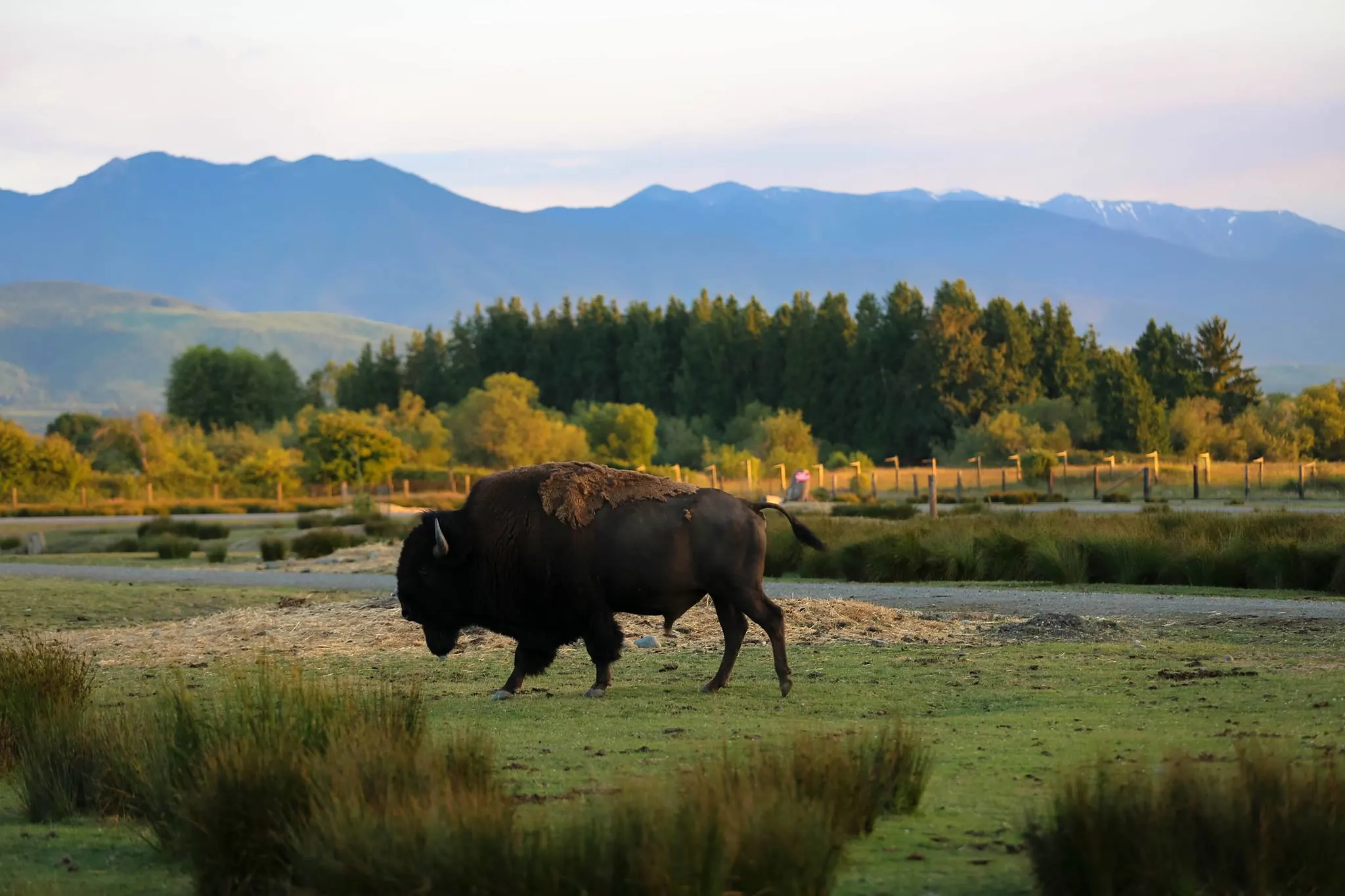 List of Zoos and Aquariums in Washington – Love, Tabitha