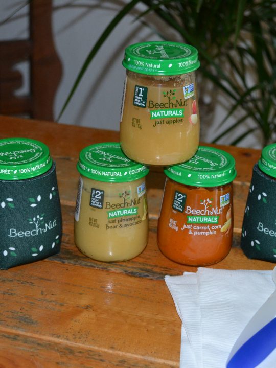 Beech-Nut Naturals MommyParties