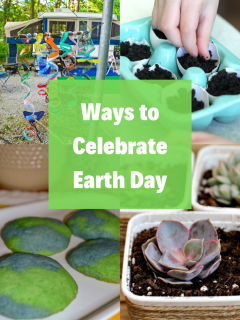 A list of great ideas on how to celebrate Earth Day