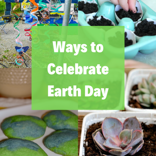 A list of great ideas on how to celebrate Earth Day