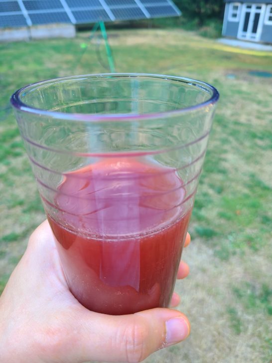 Daily Drink To Help Your Digestive System Love, Tabitha