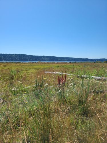 Anderson Point Park