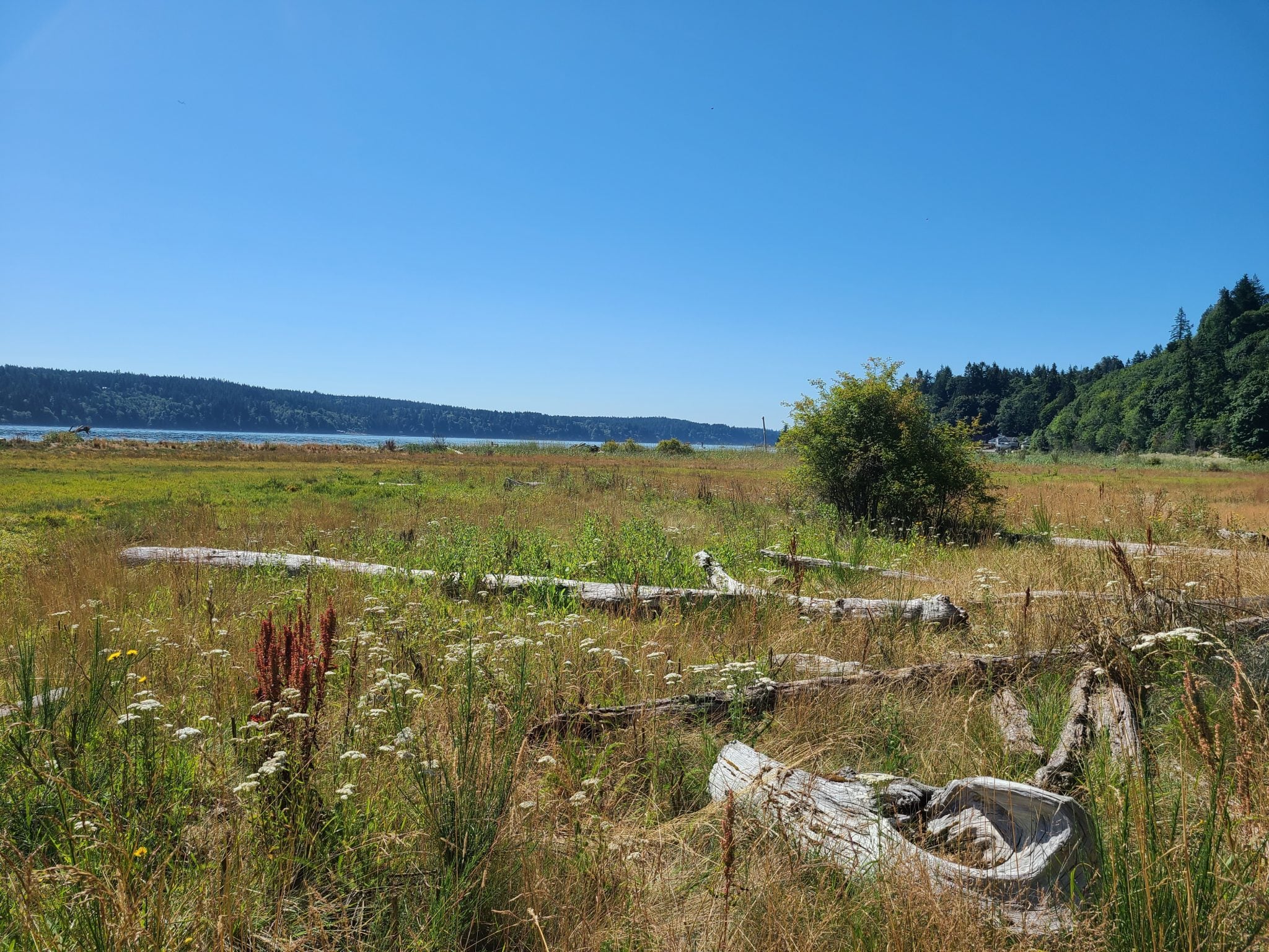 Anderson Point Park – Love, Tabitha