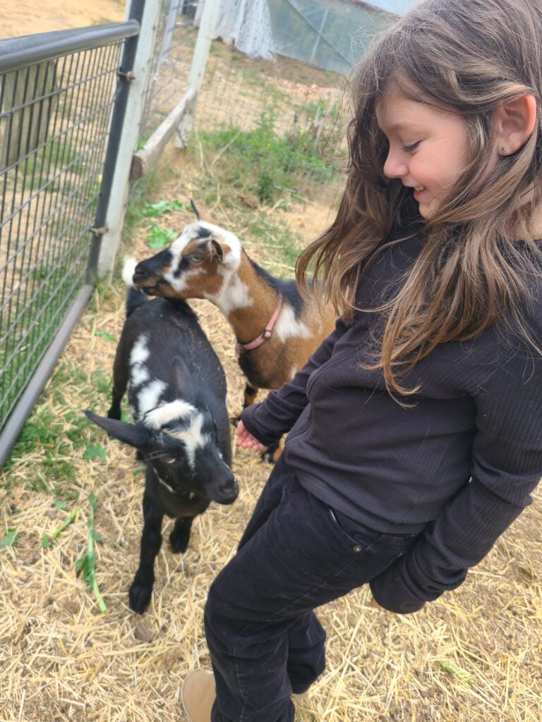 Kitsap County Family-Friendly Summer Fun 2026