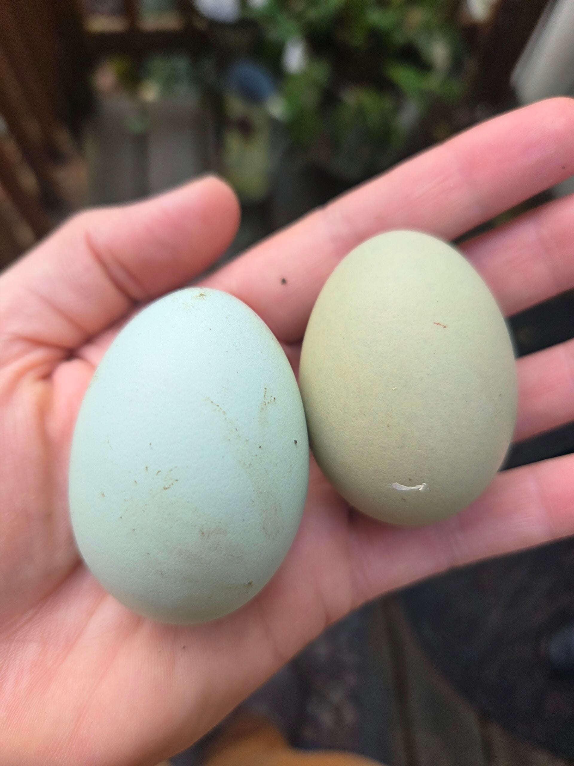 20251213_134036 20251213_134036