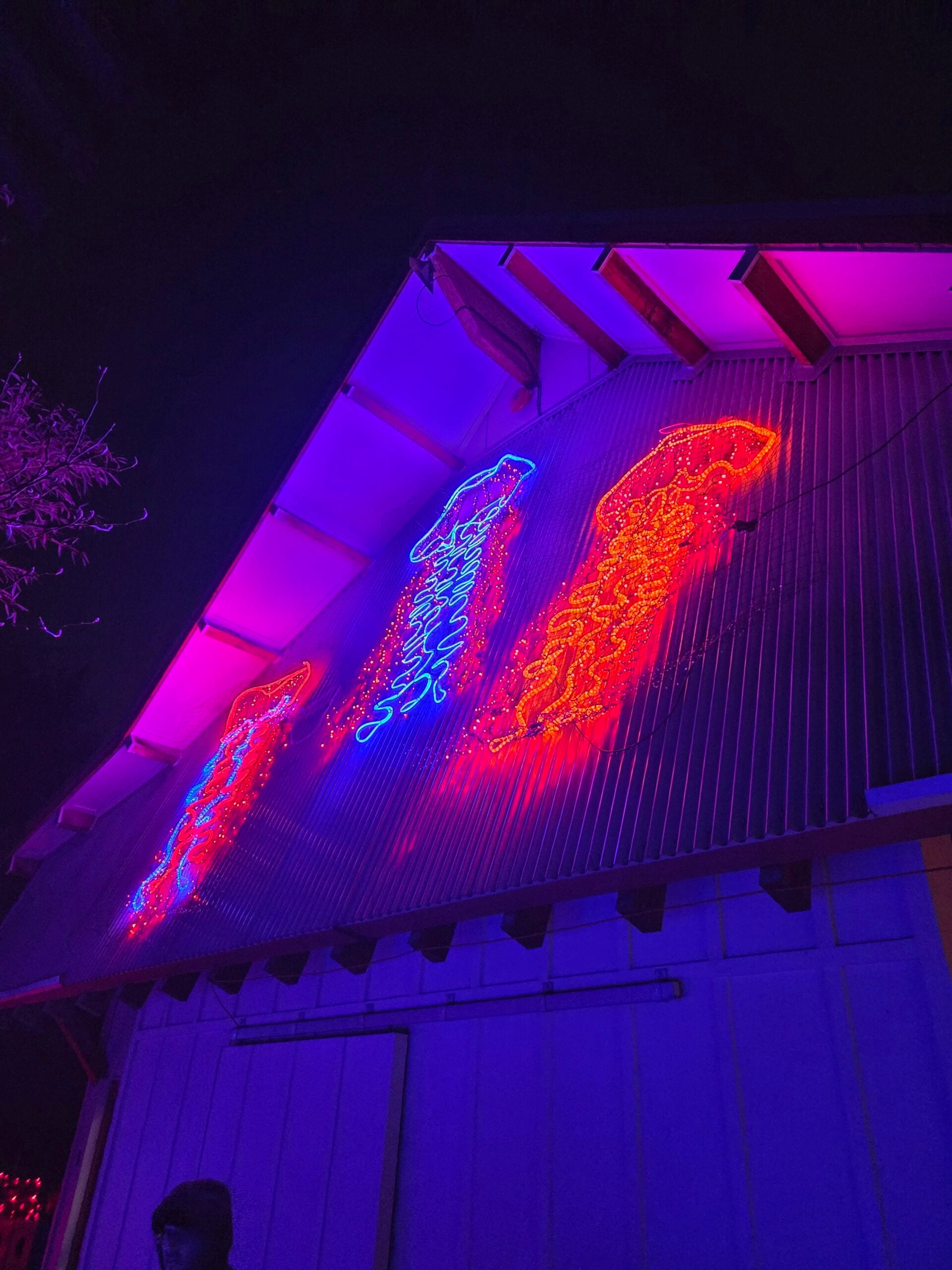 20260102_182123 (1) 20260102_182123 (1)