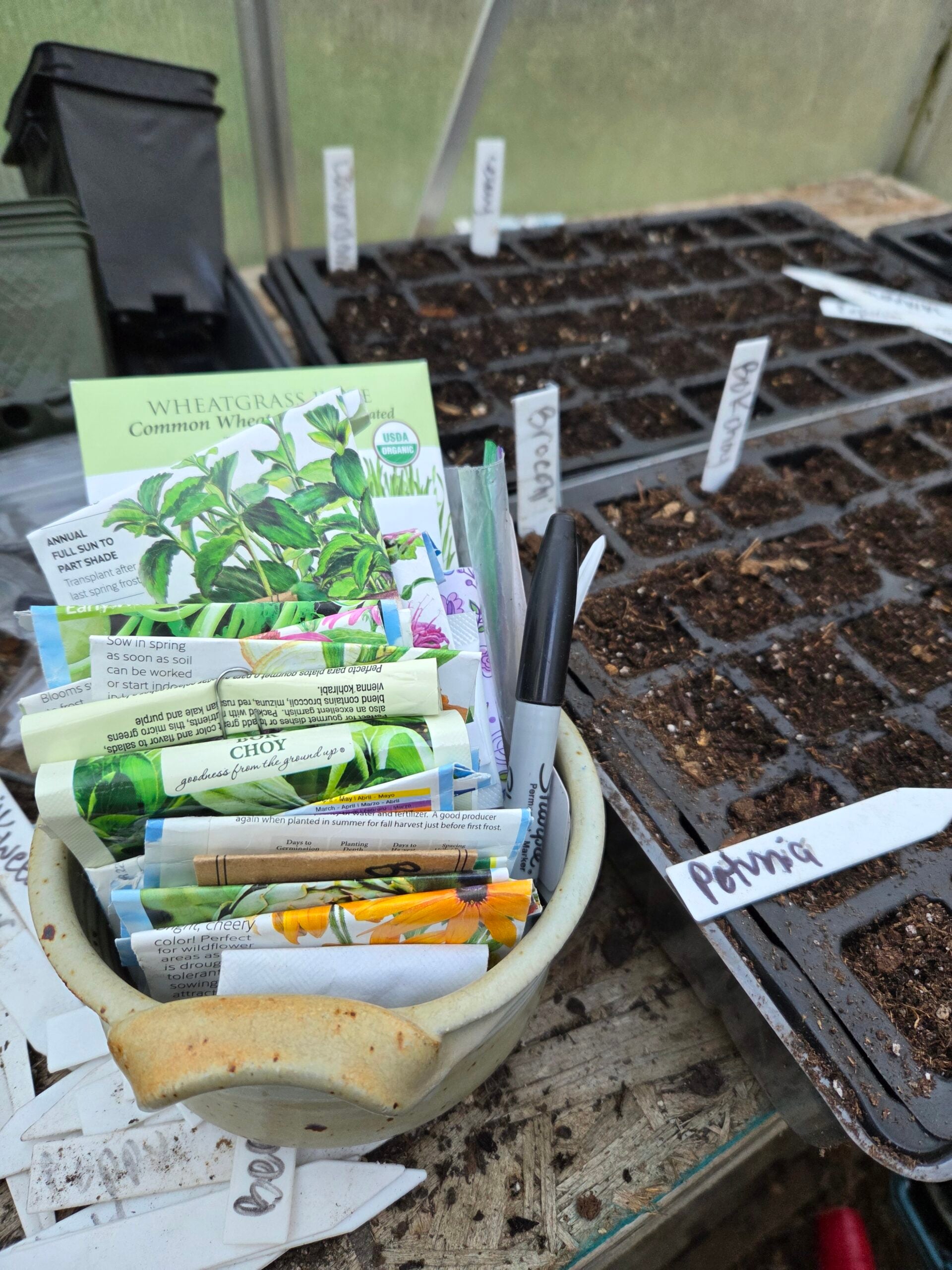 20260117_150809 20260117_150809