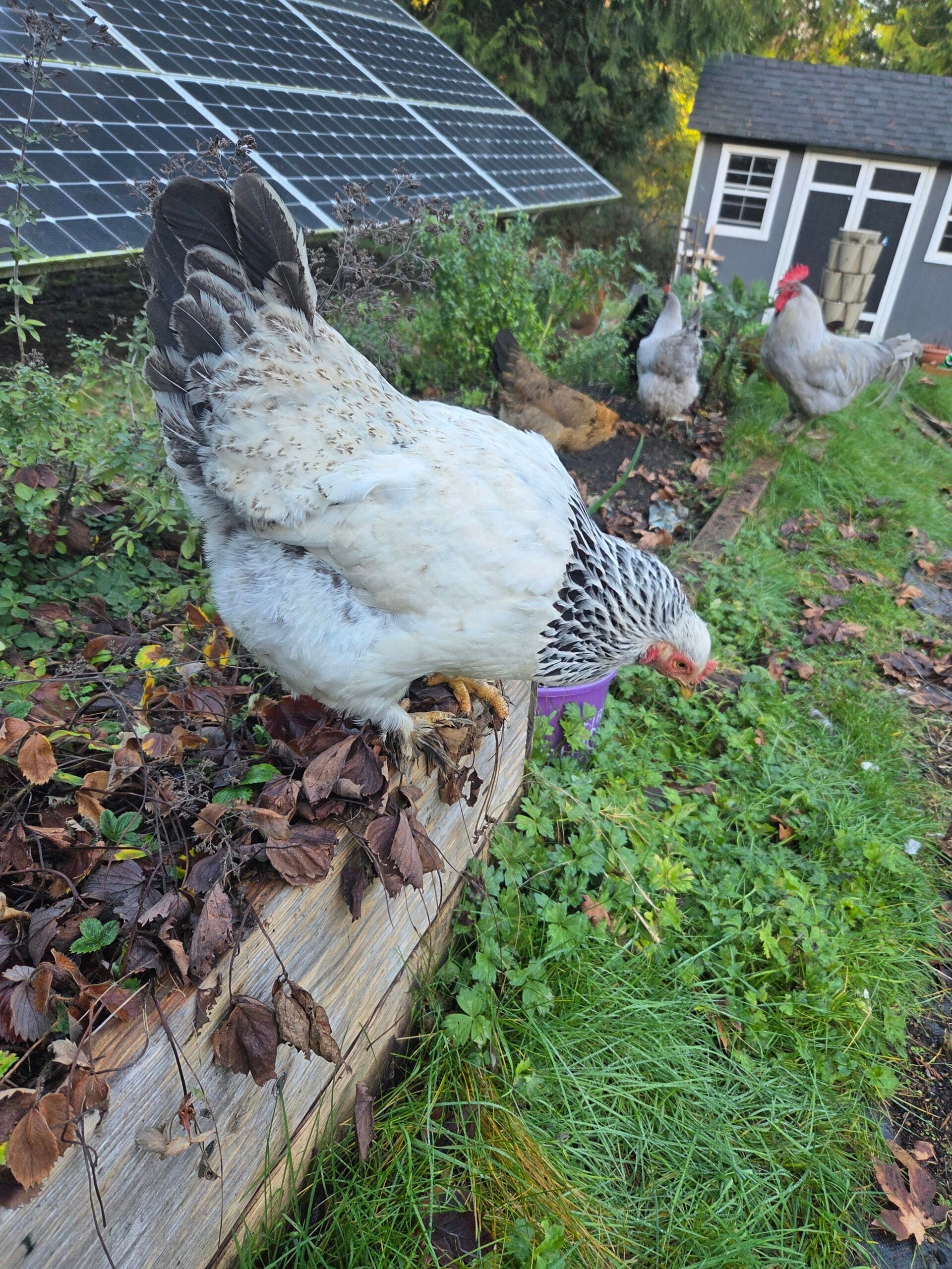 20260119_151657 20260119_151657