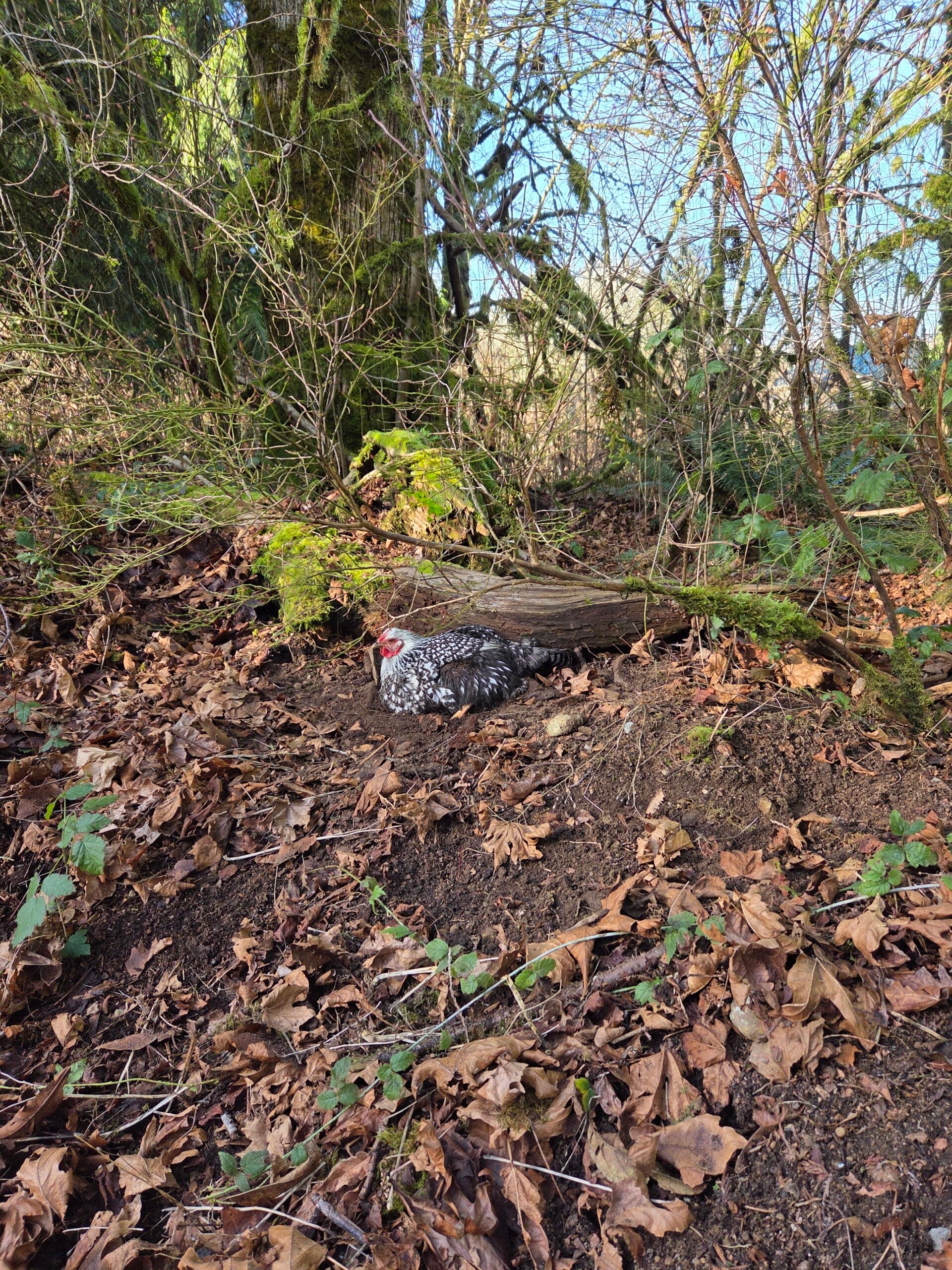 20260120_125340 20260120_125340