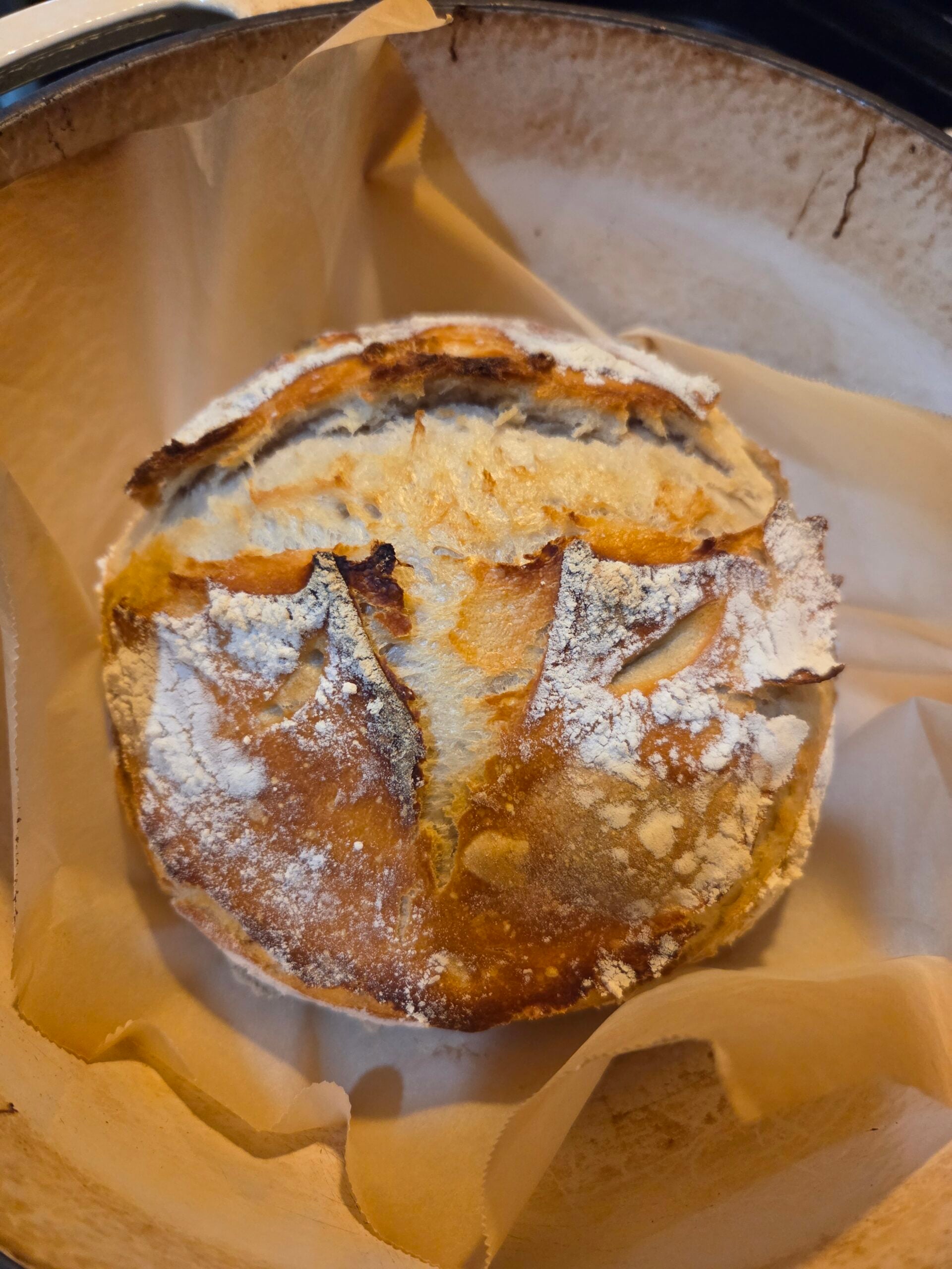 20260204_112843 (1) 20260204_112843 (1)