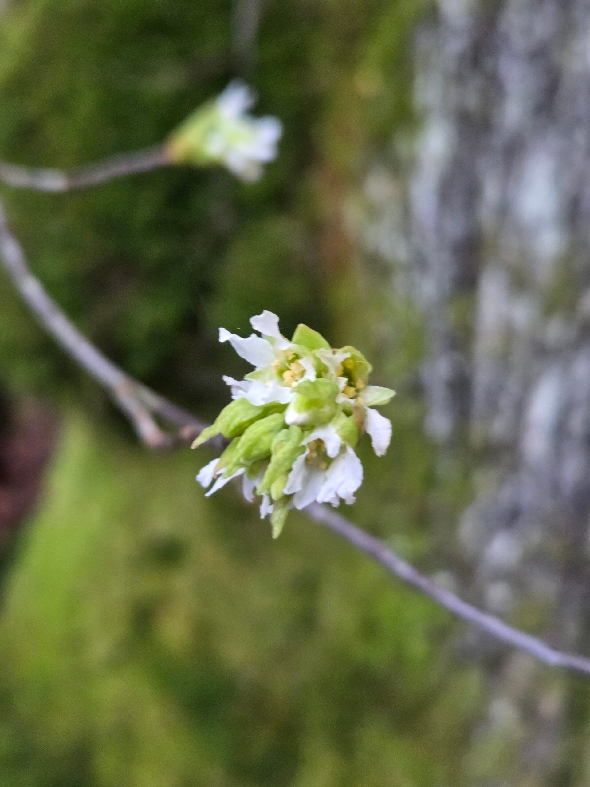 20260205_163210 20260205_163210