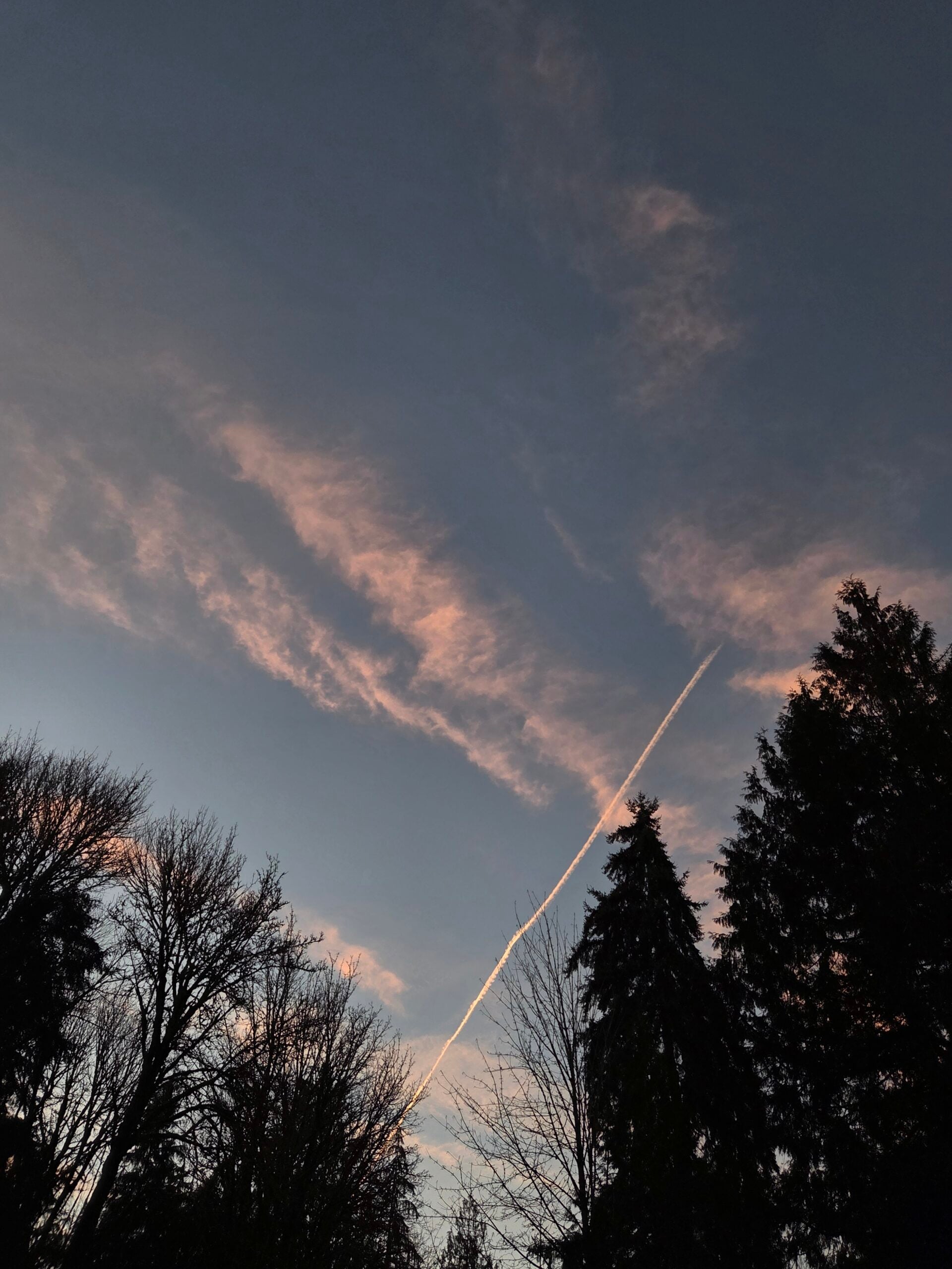 20260205_172513 20260205_172513