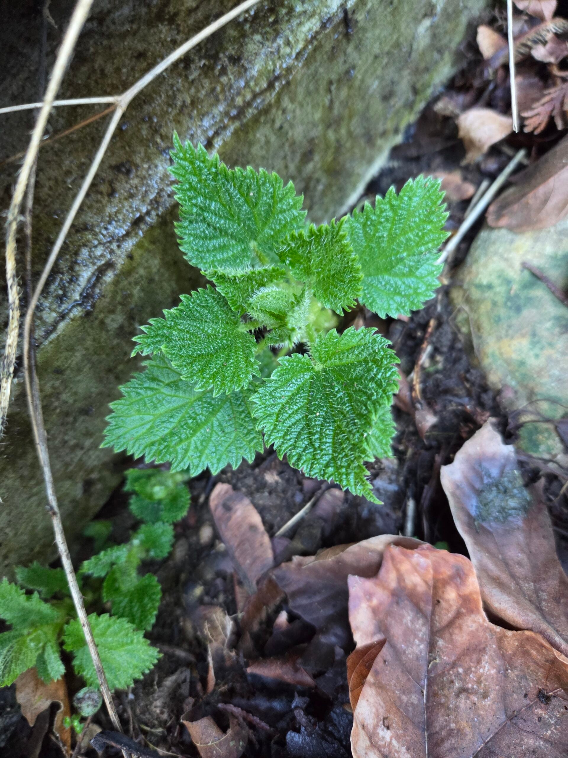 20260209_141728 20260209_141728