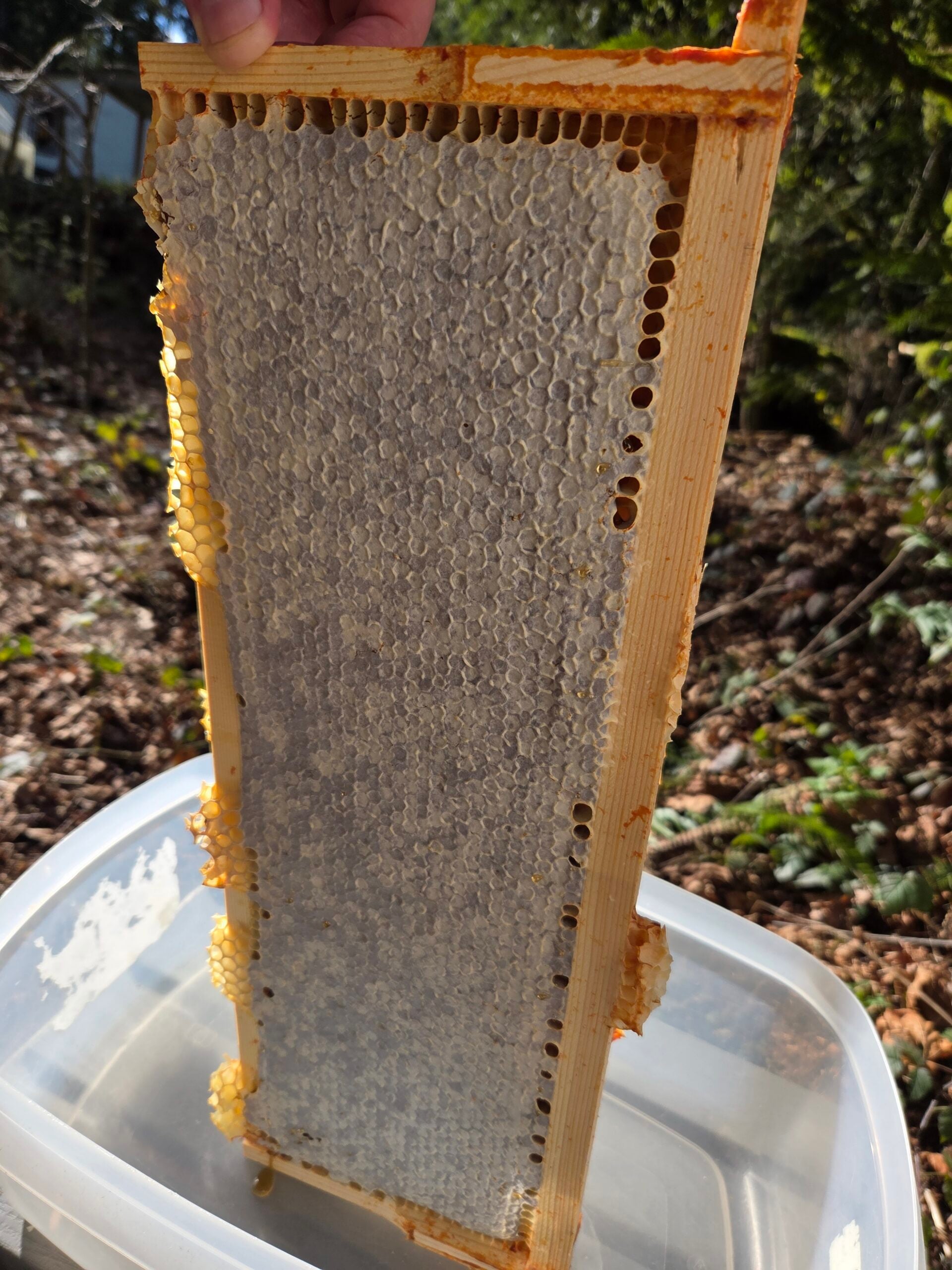 20260215_132405 (1) 20260215_132405 (1)