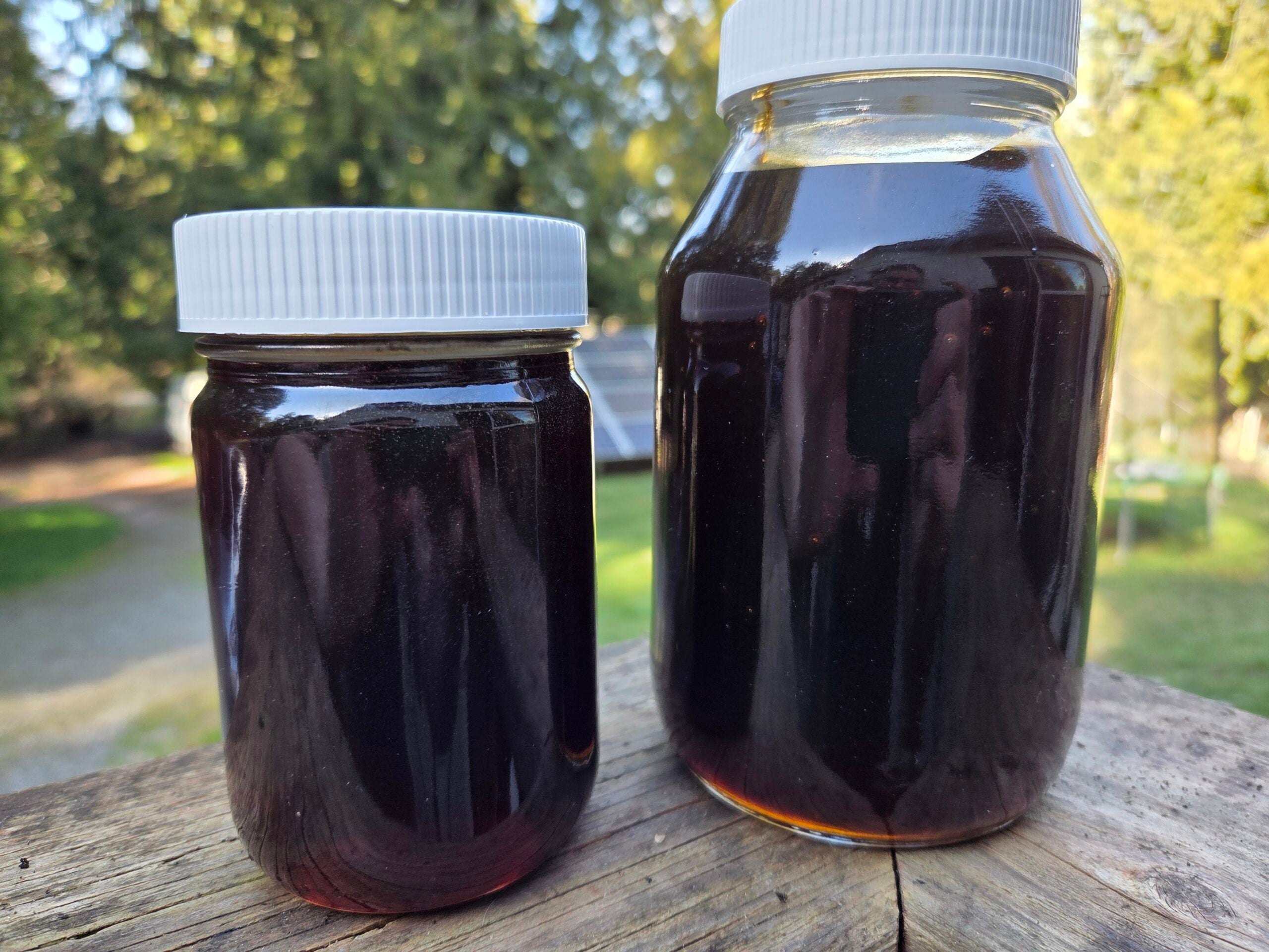 20260302_141659 (1) 20260302_141659 (1)