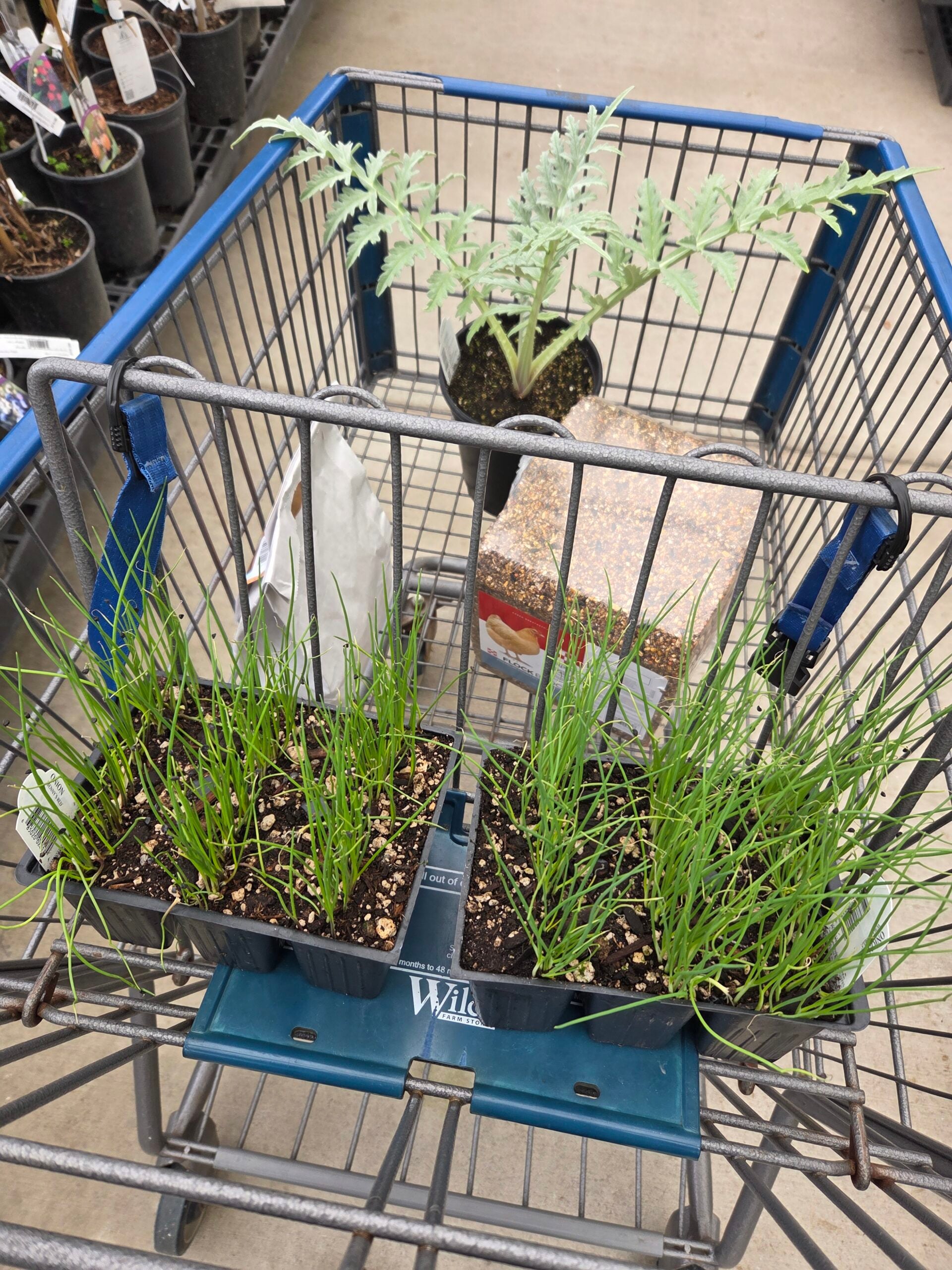 20260303_104602 20260303_104602