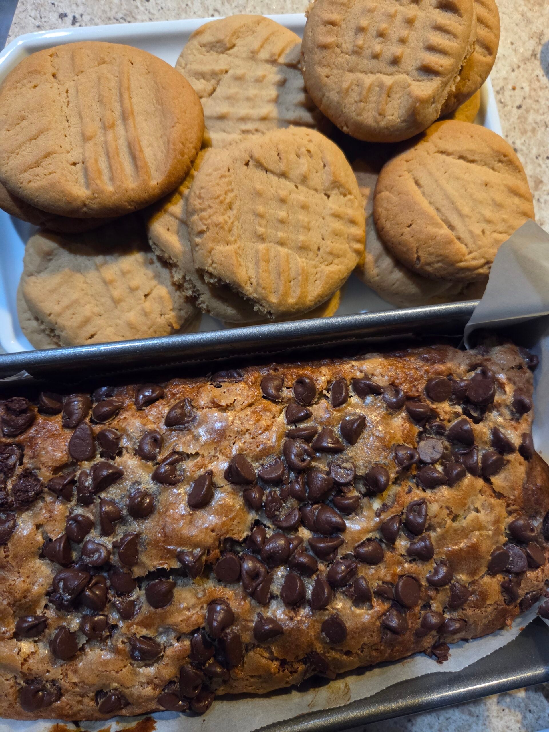 20260312_133837 (1) 20260312_133837 (1)