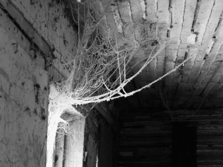13 Haunted Places in Pierce County, Washington: Ghost Stories & Creepy Places to Explore