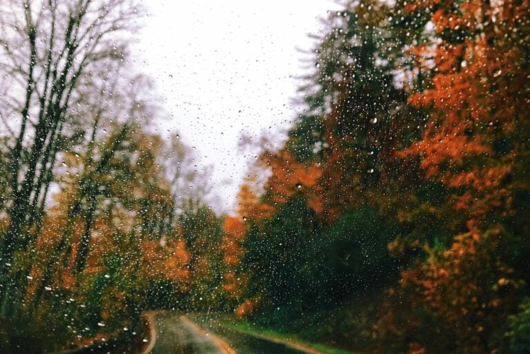 10 Best Fall Drives & Places to See Fall Colors in the Pacific Northwest