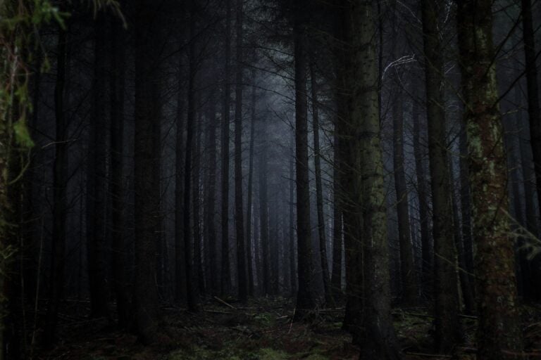 15 Haunted Places in Kitsap County to Explore This Fall